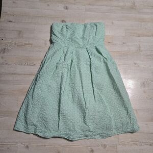 J. Crew Size 8 Womens Dress